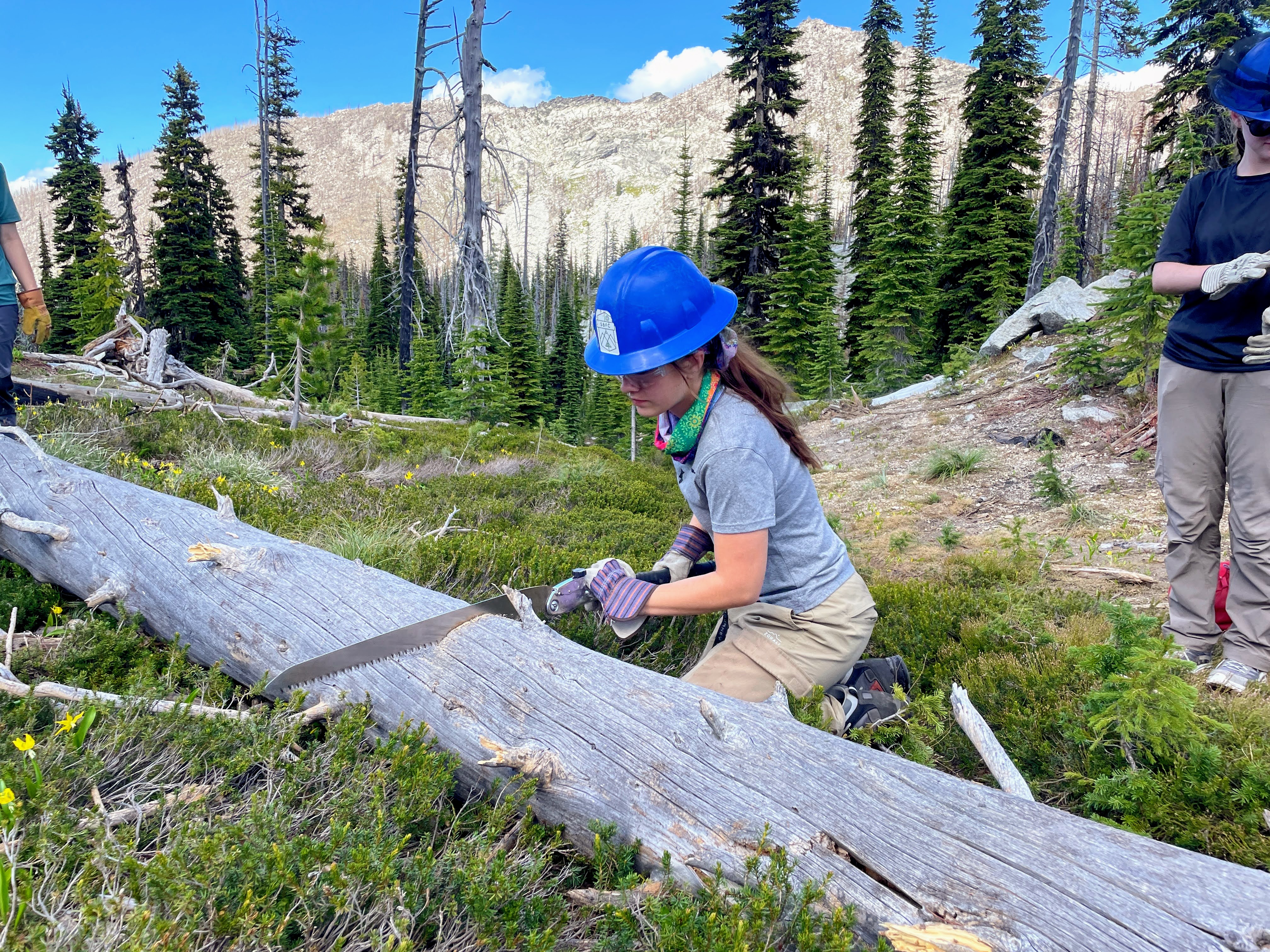 A young woman uses a handsaw to saw through a tree trunk fallen across a trail. Mountains are behind her.