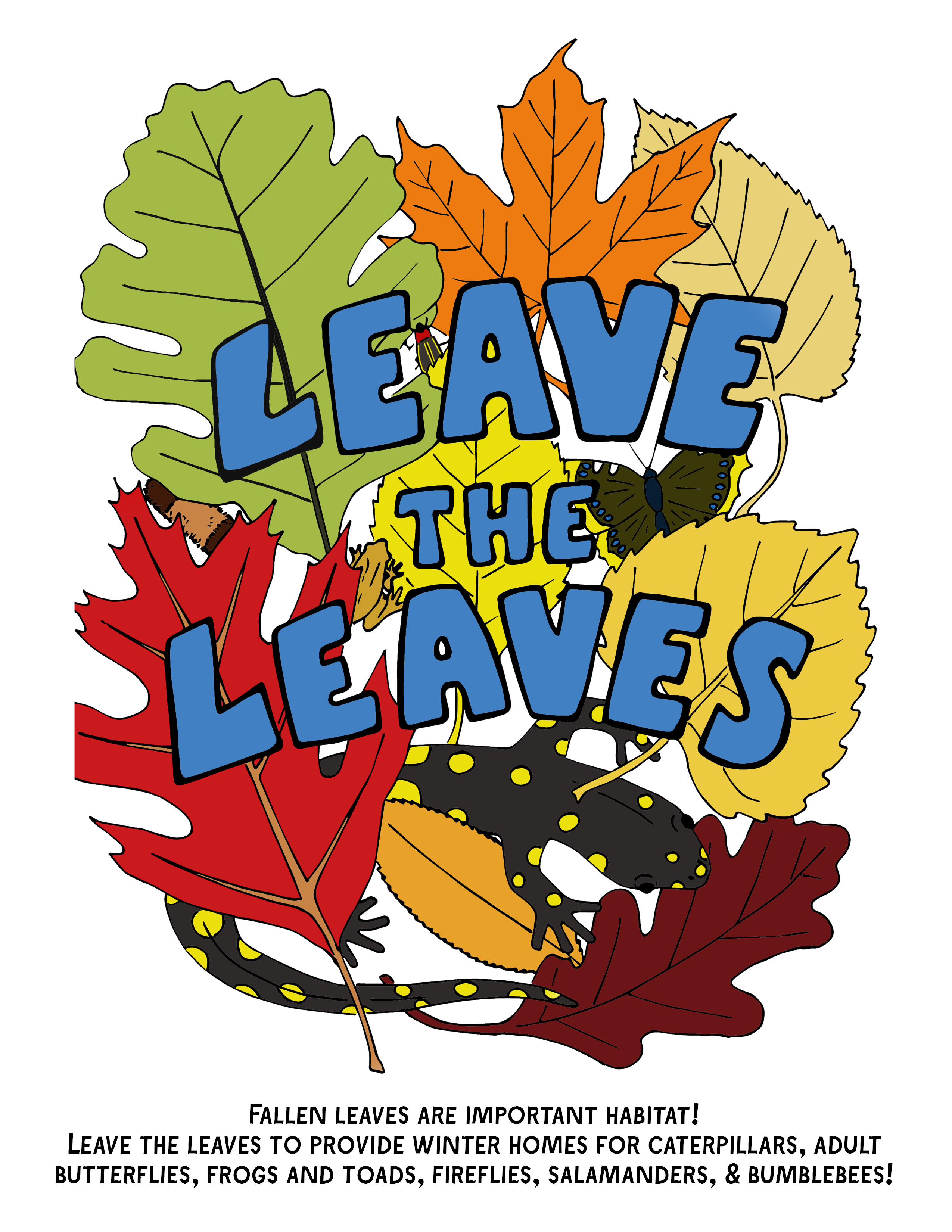 This illustration is of colorful leaves with a tiger salamander, frog, caterpillar, firefly, and butterfly hiding behind them. Text reads "Leave the Leaves" on top of the leaves drawing.