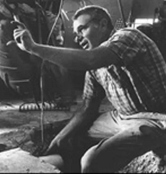 photo of Michael McNiel