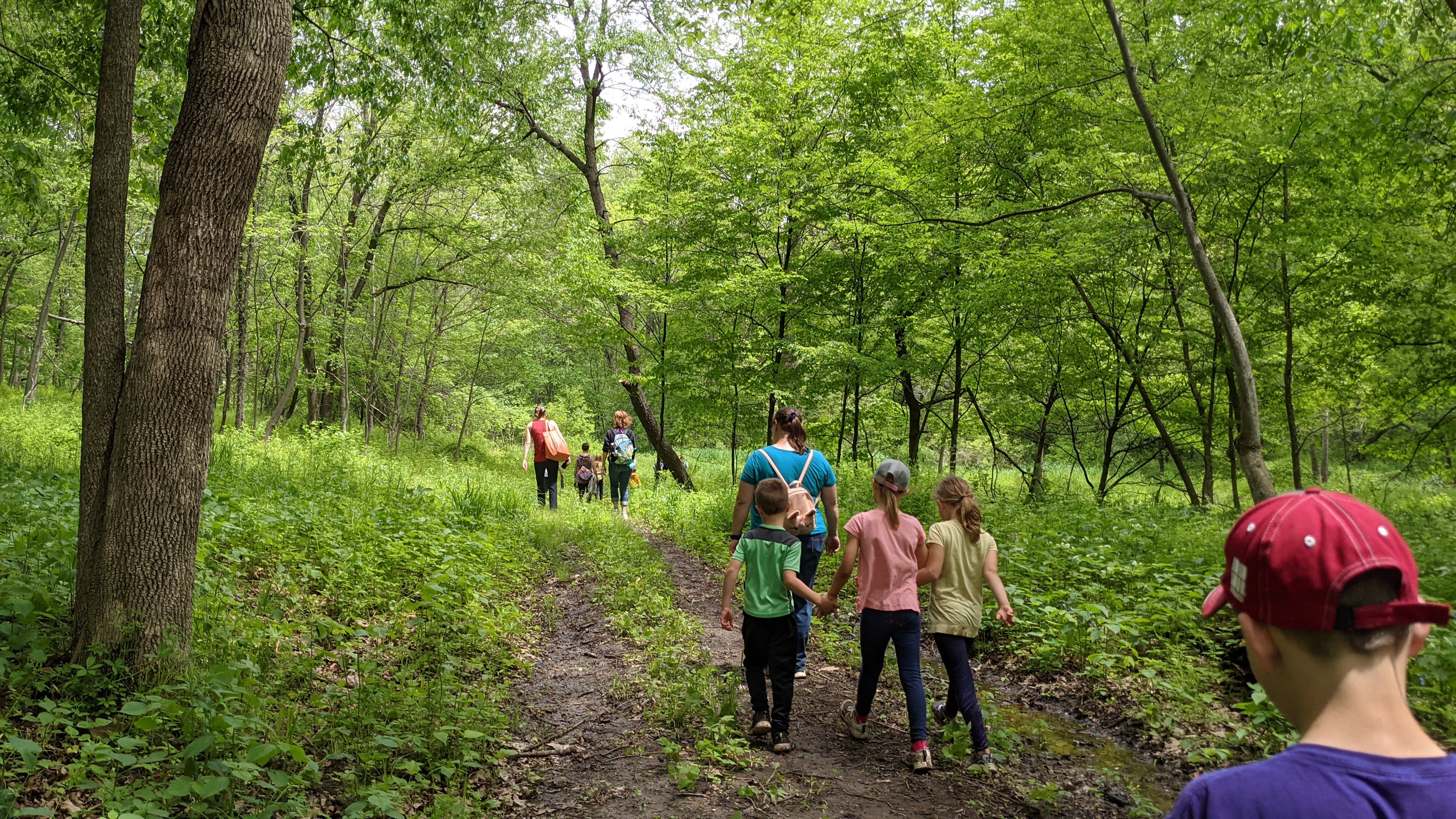 Group hiking through Cangleska Wakan forest. 