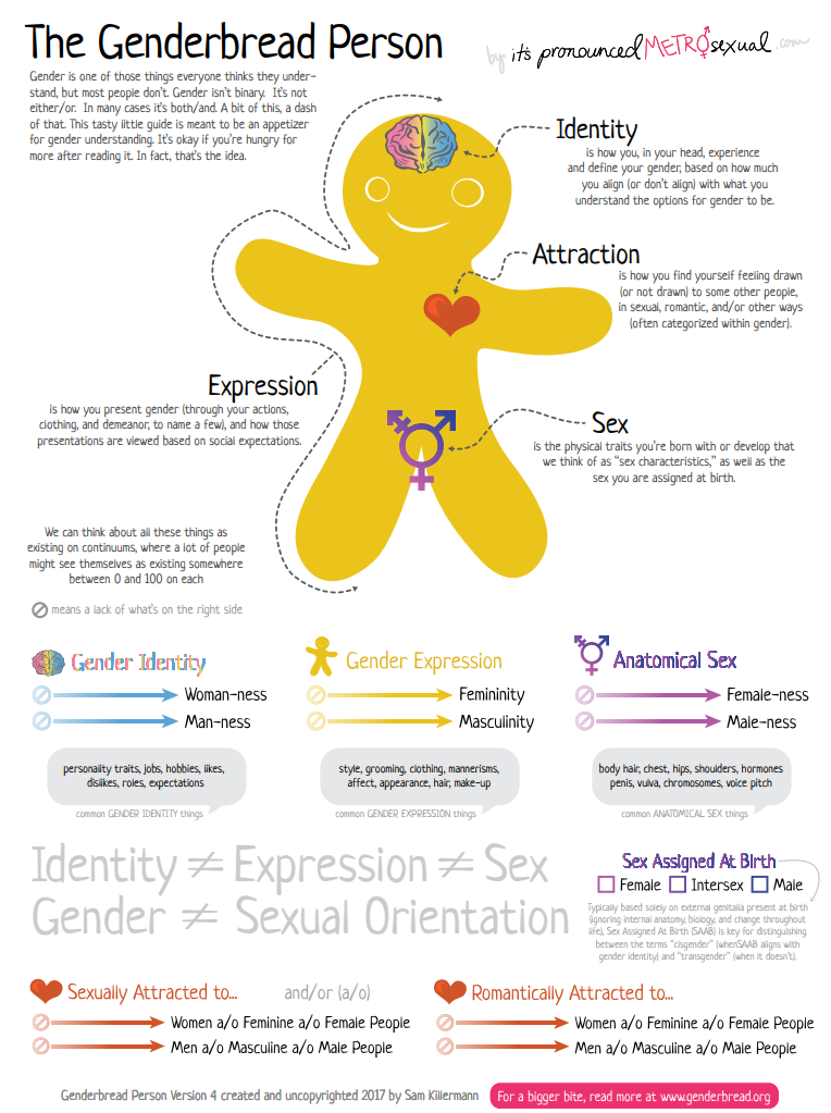 Genderbread Person Poster