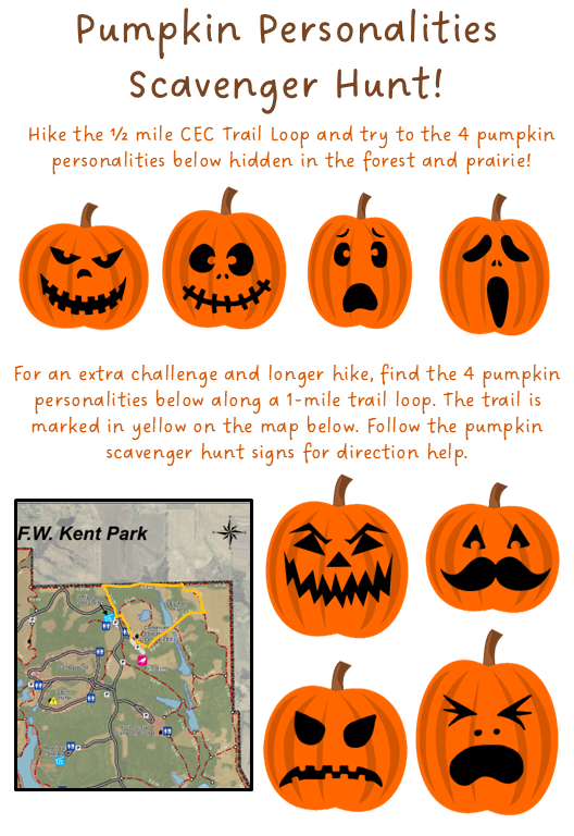 Illustrations of 8 pumpkins are shown on this page, each with a different expression from happy to scared to scary. Text describes two hiking loops that the pumpkins are hidden along.