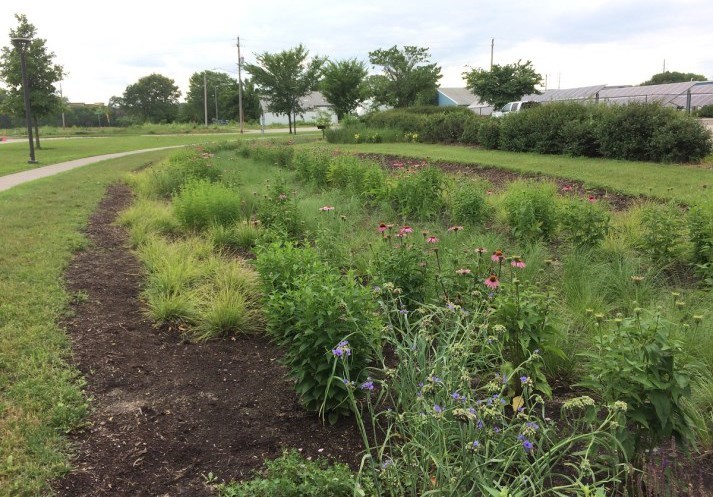 Bioretention